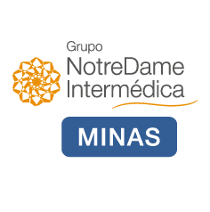 gndi minas logo.png